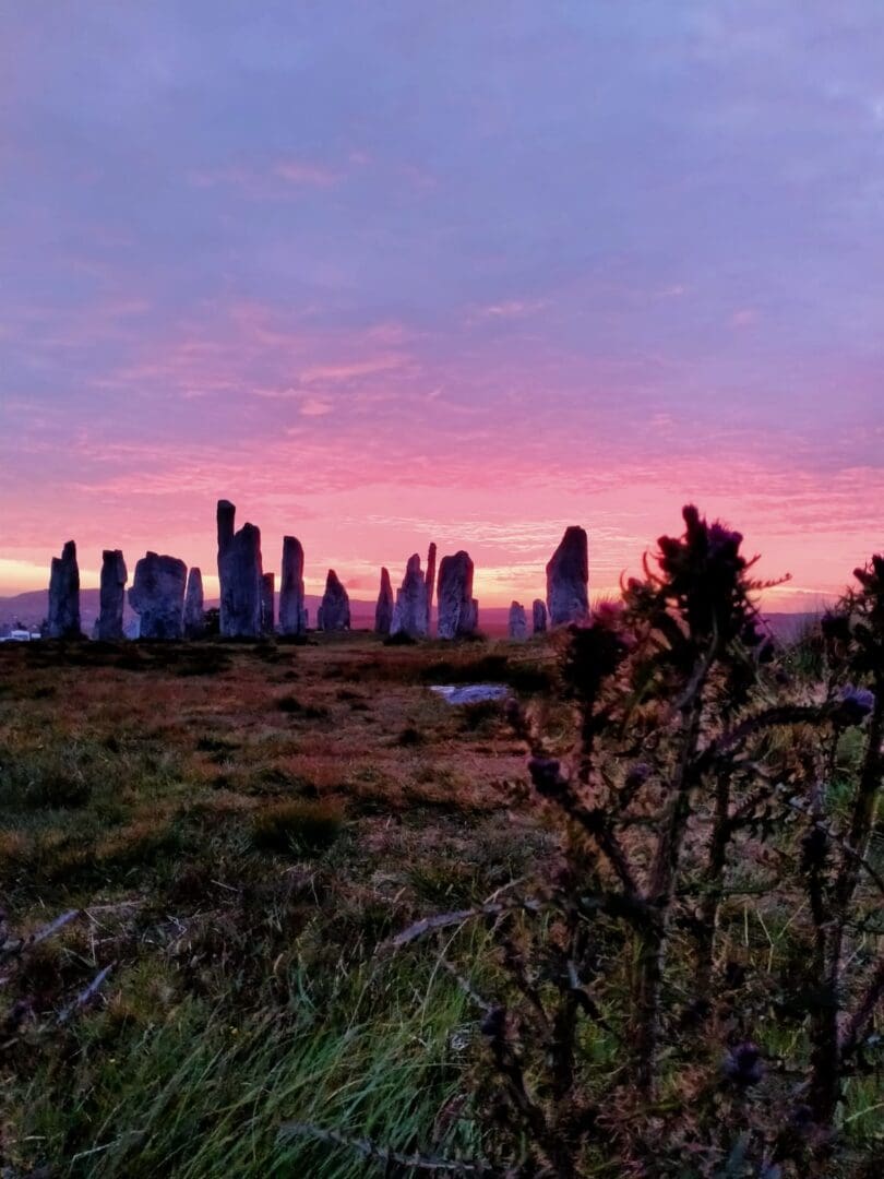 A view of the city skyline at sunset.